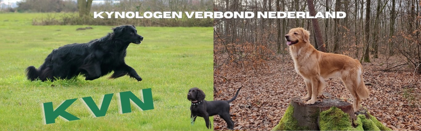 Kynologen Verbond Nederland
